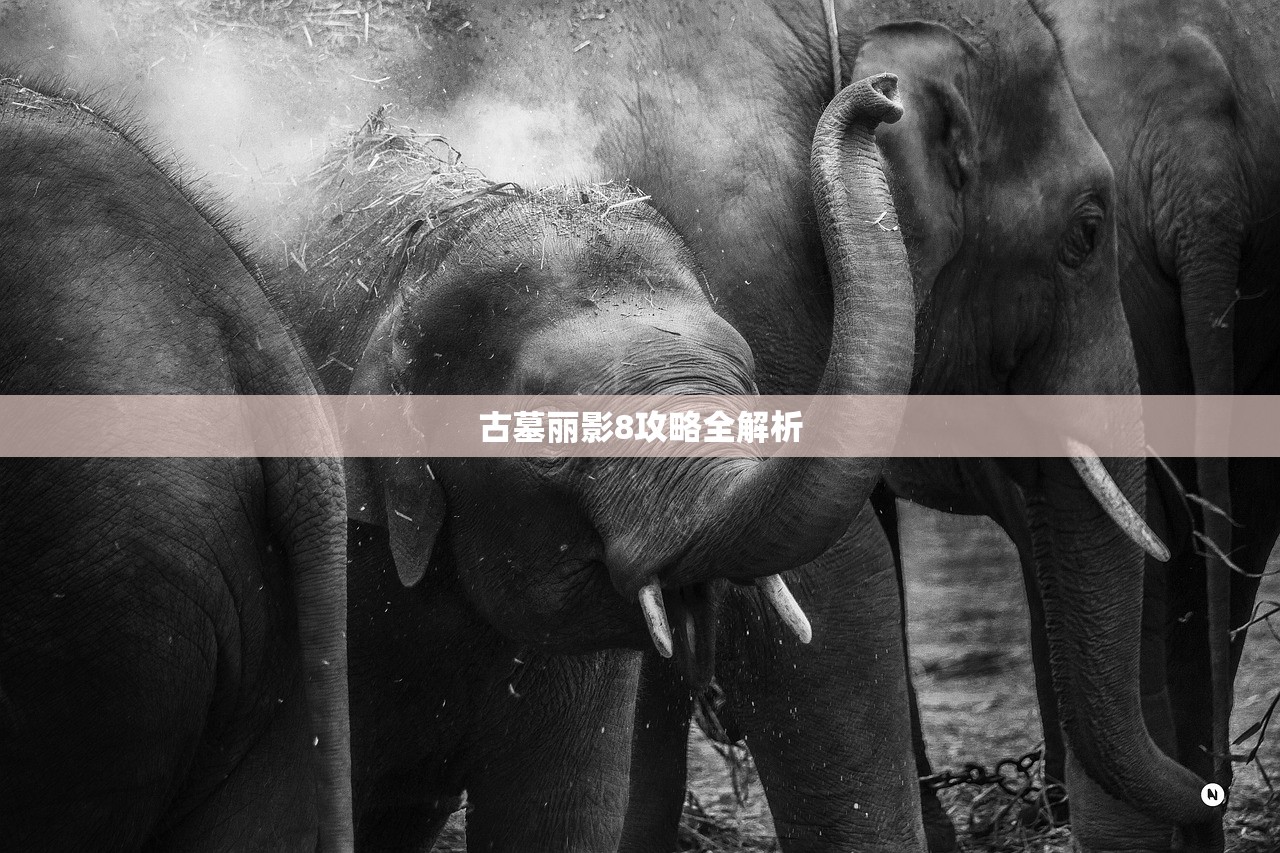 古墓丽影8攻略全解析