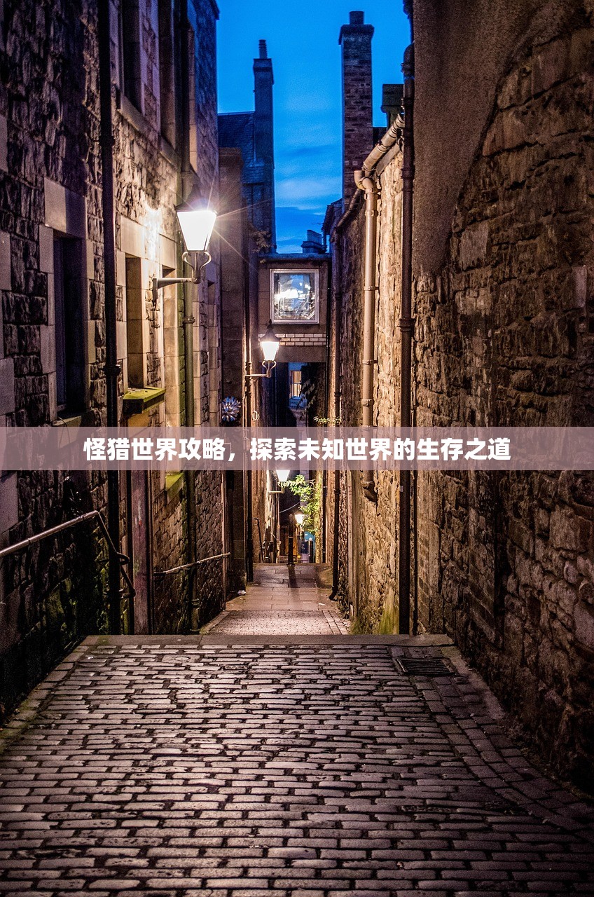 怪猎世界攻略，探索未知世界的生存之道