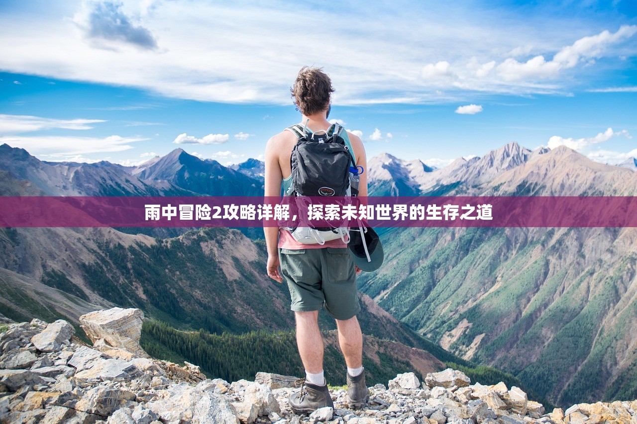 雨中冒险2攻略详解，探索未知世界的生存之道