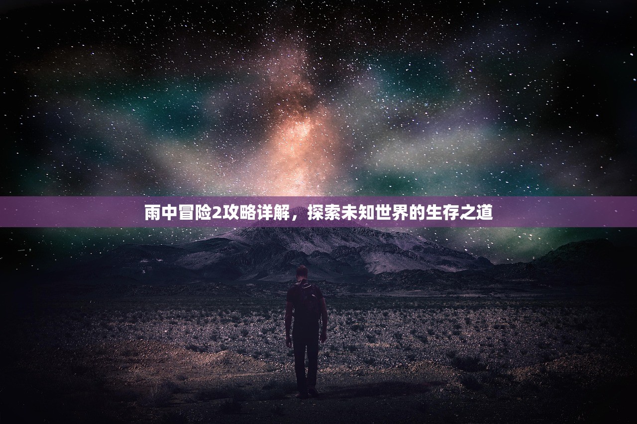 雨中冒险2攻略详解，探索未知世界的生存之道