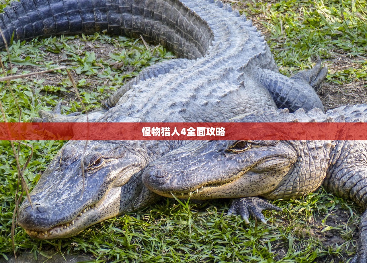 怪物猎人4全面攻略