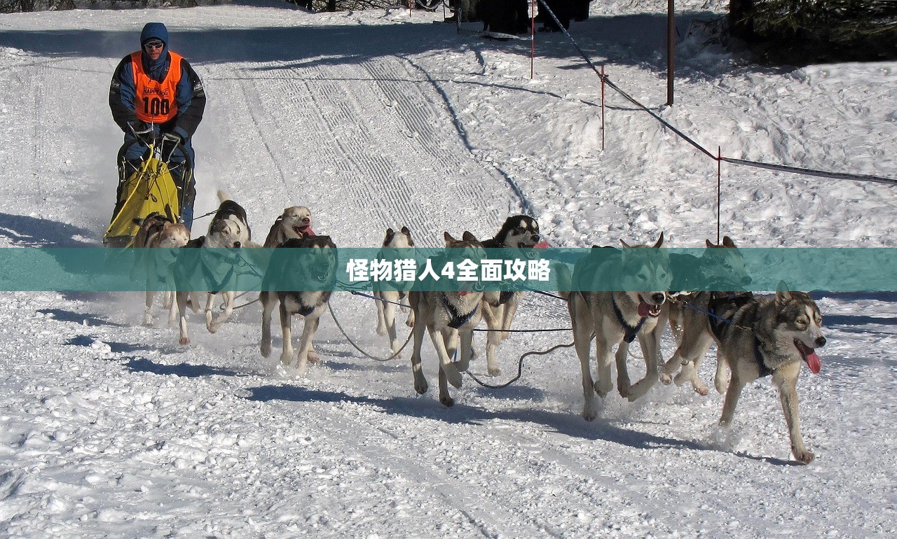 怪物猎人4全面攻略