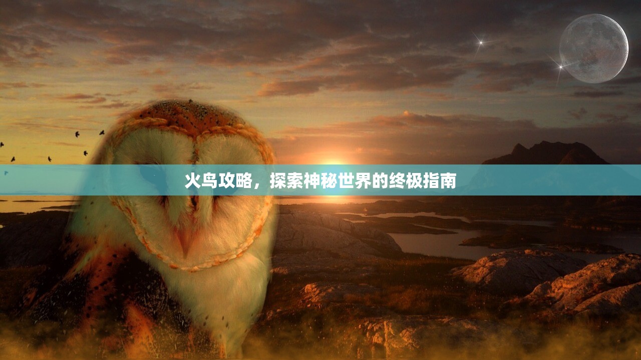 火鸟攻略，探索神秘世界的终极指南