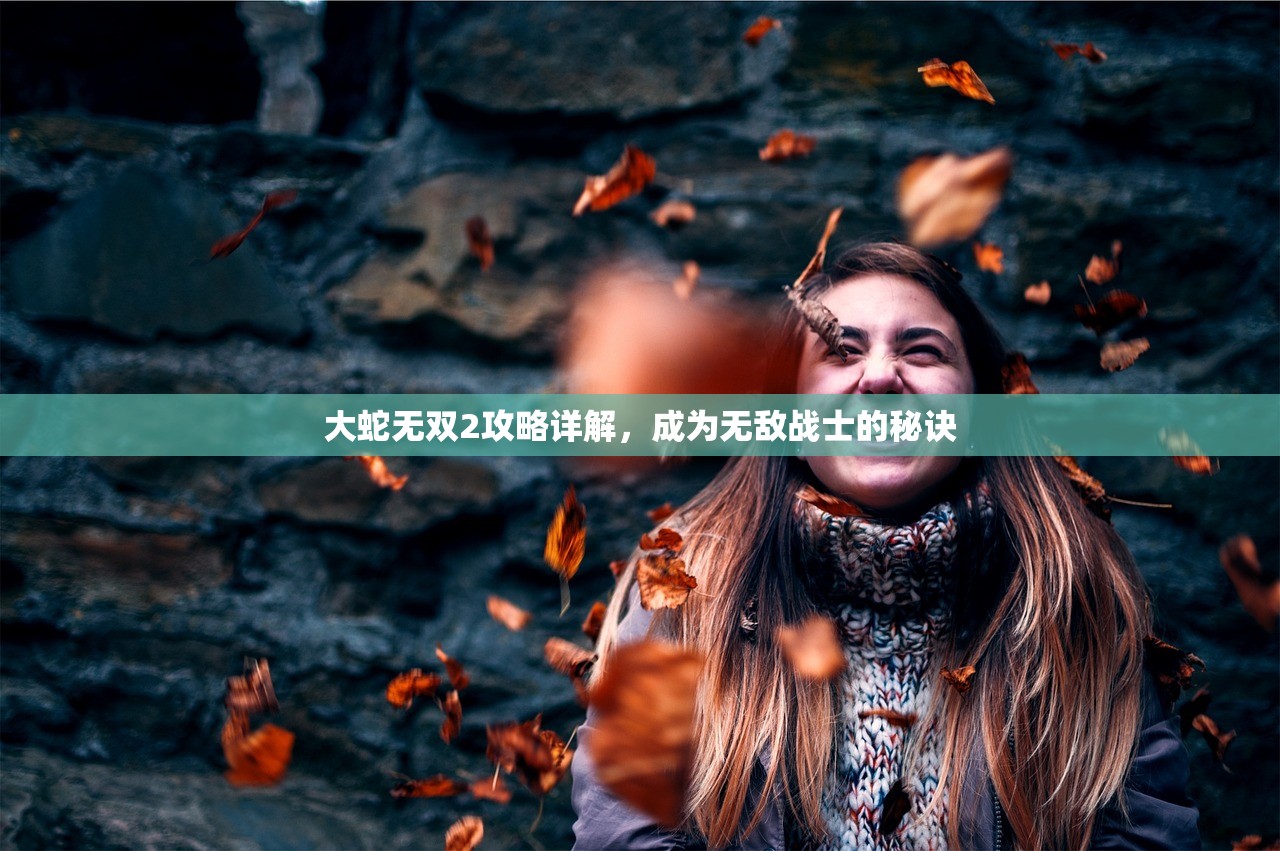 大蛇无双2攻略详解，成为无敌战士的秘诀