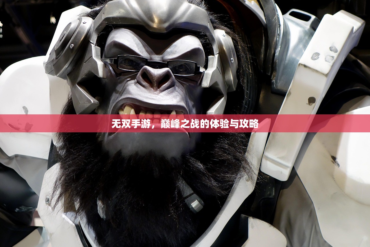 无双手游，巅峰之战的体验与攻略