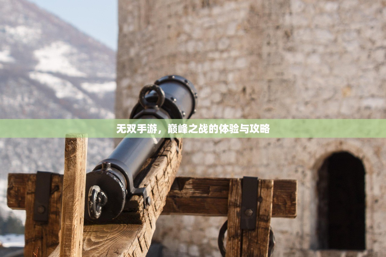 无双手游，巅峰之战的体验与攻略