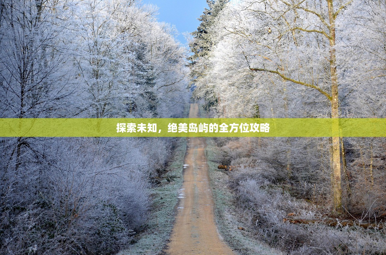 探索未知，绝美岛屿的全方位攻略