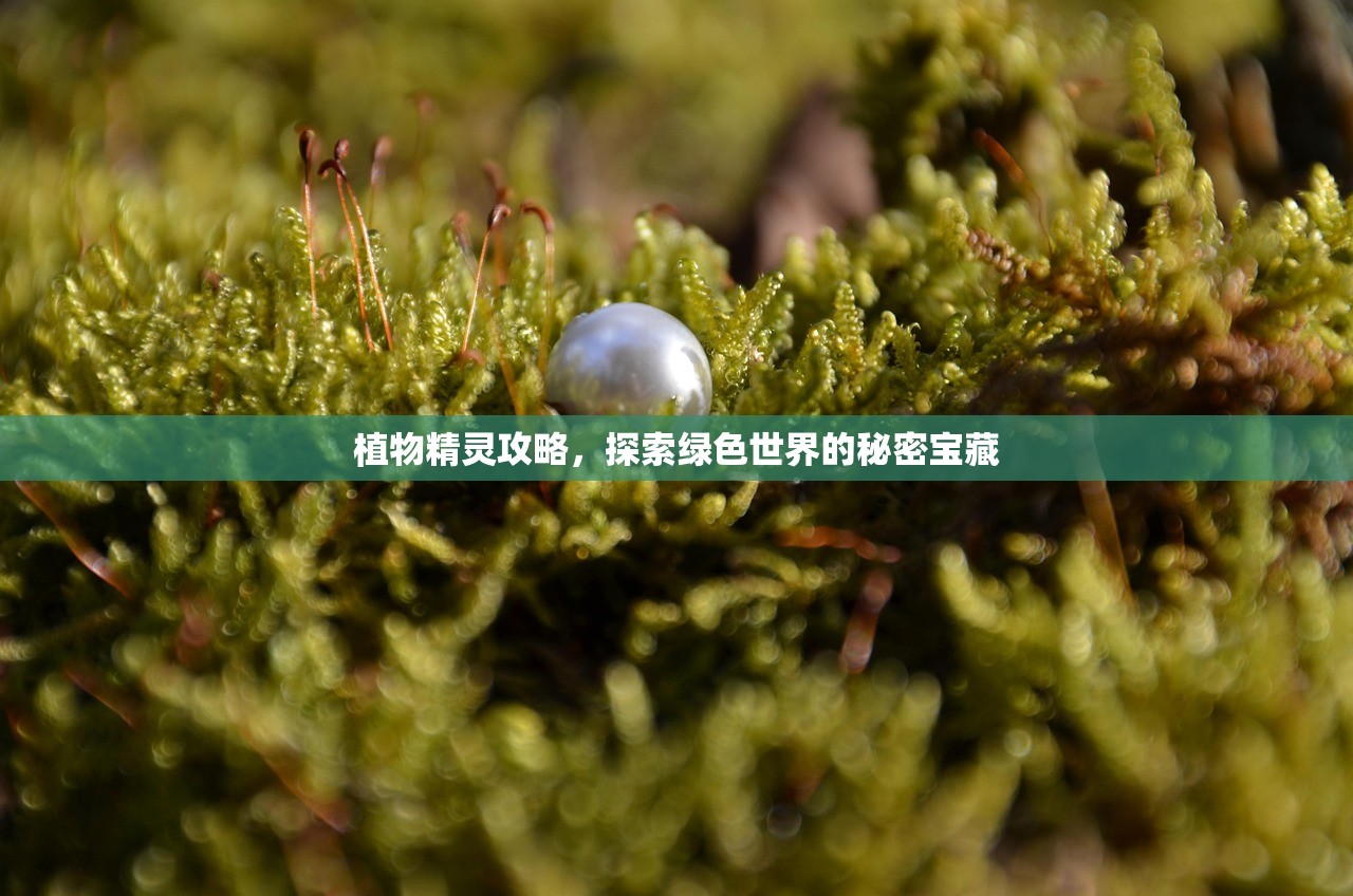 植物精灵攻略，探索绿色世界的秘密宝藏