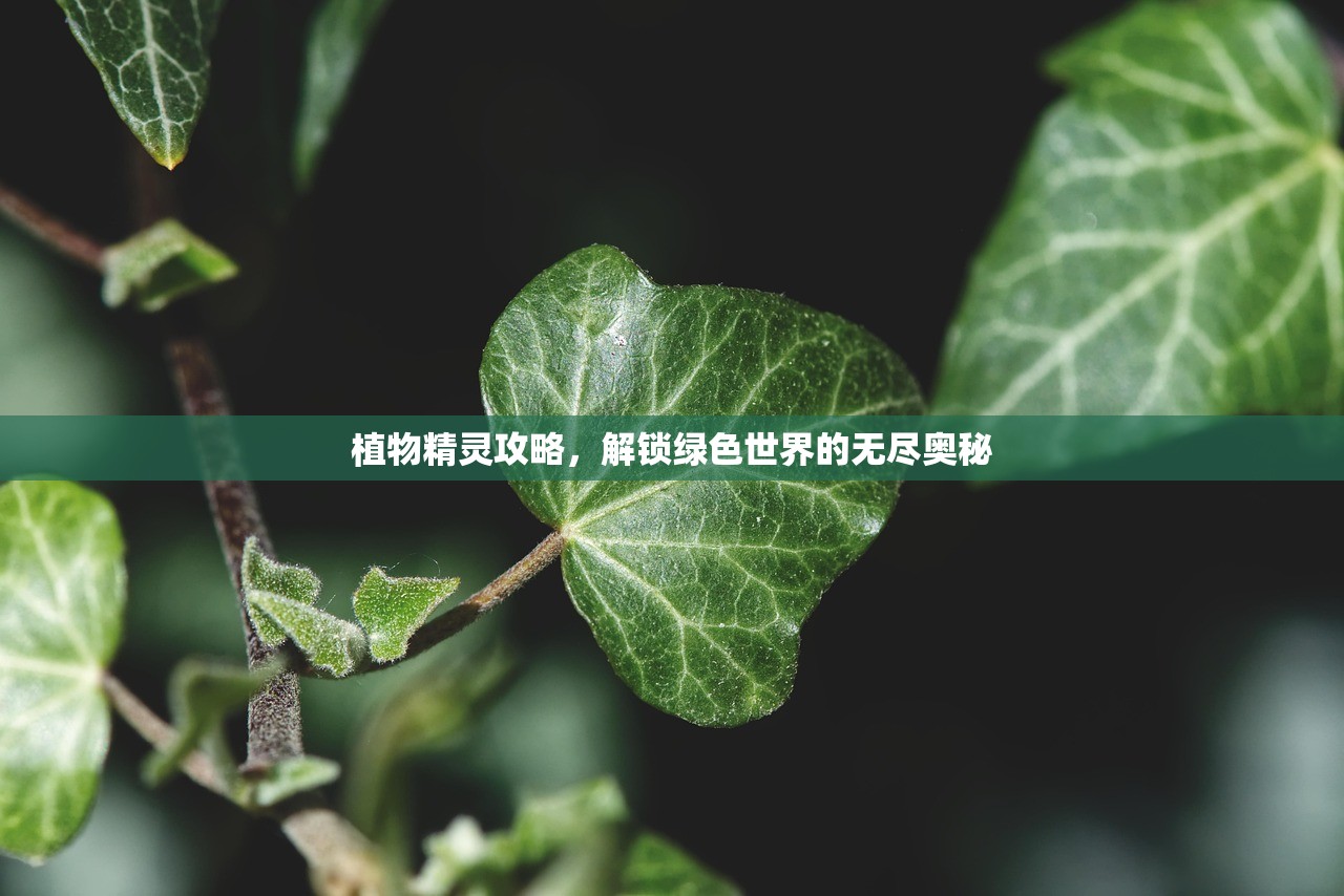 植物精灵攻略，解锁绿色世界的无尽奥秘