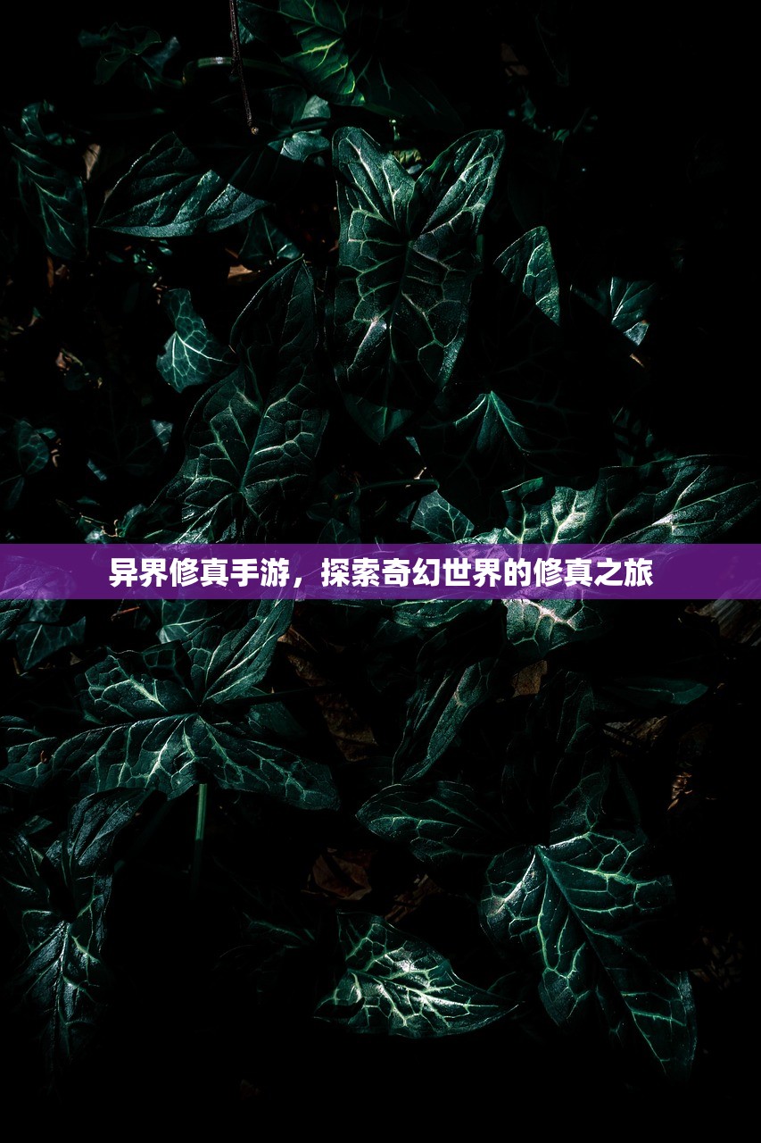 异界修真手游，探索奇幻世界的修真之旅