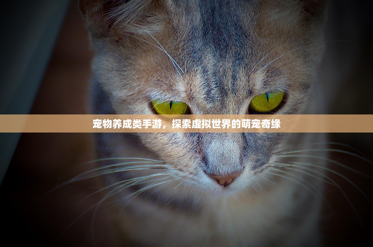 宠物养成类手游，探索虚拟世界的萌宠奇缘