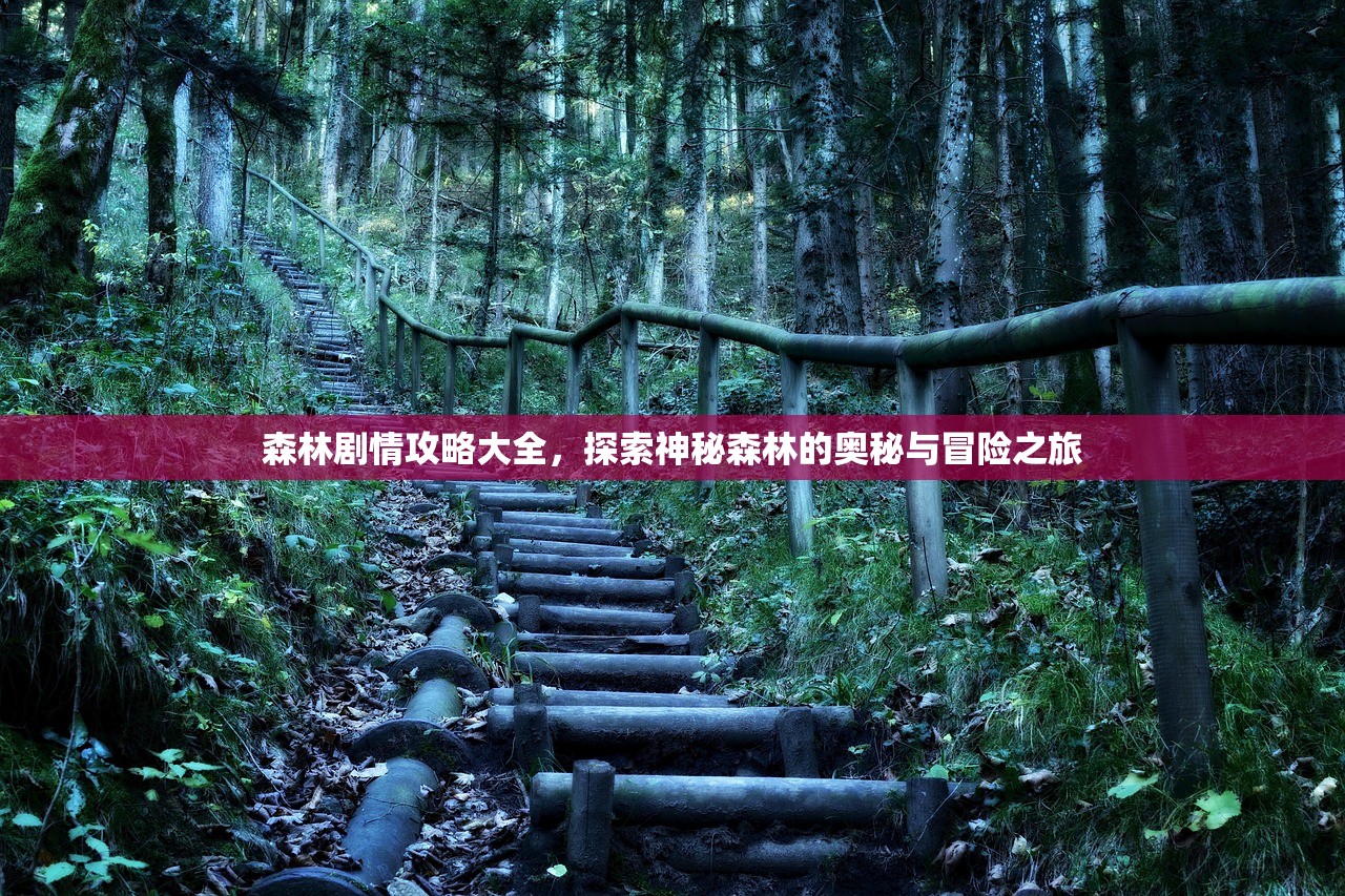 森林剧情攻略大全，探索神秘森林的奥秘与冒险之旅