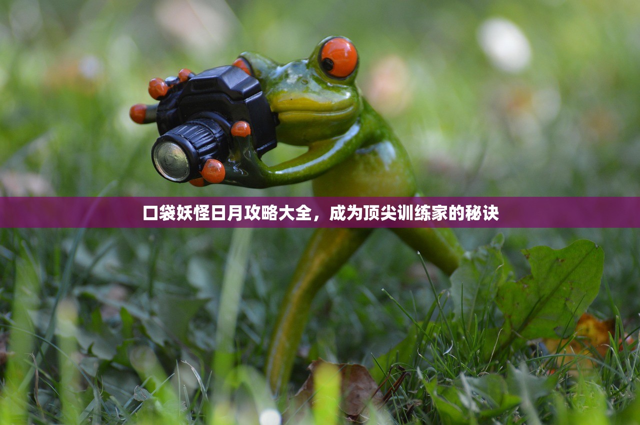 口袋妖怪日月攻略大全，成为顶尖训练家的秘诀
