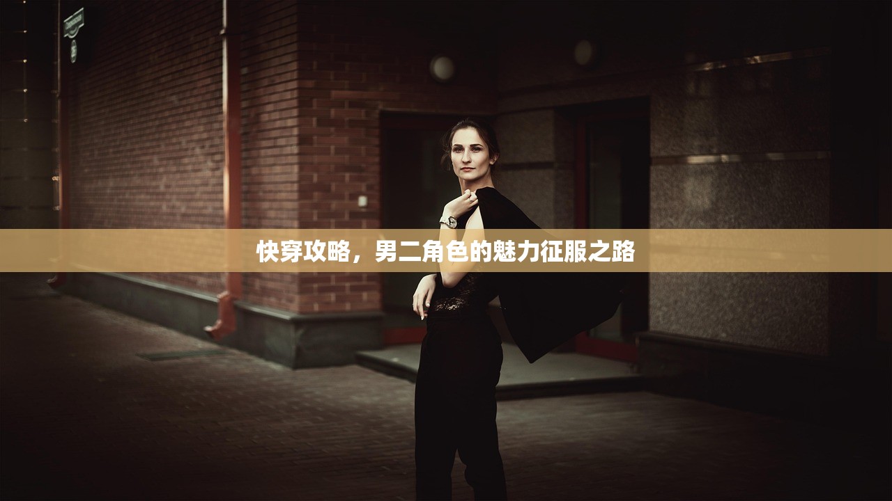 快穿攻略，男二角色的魅力征服之路