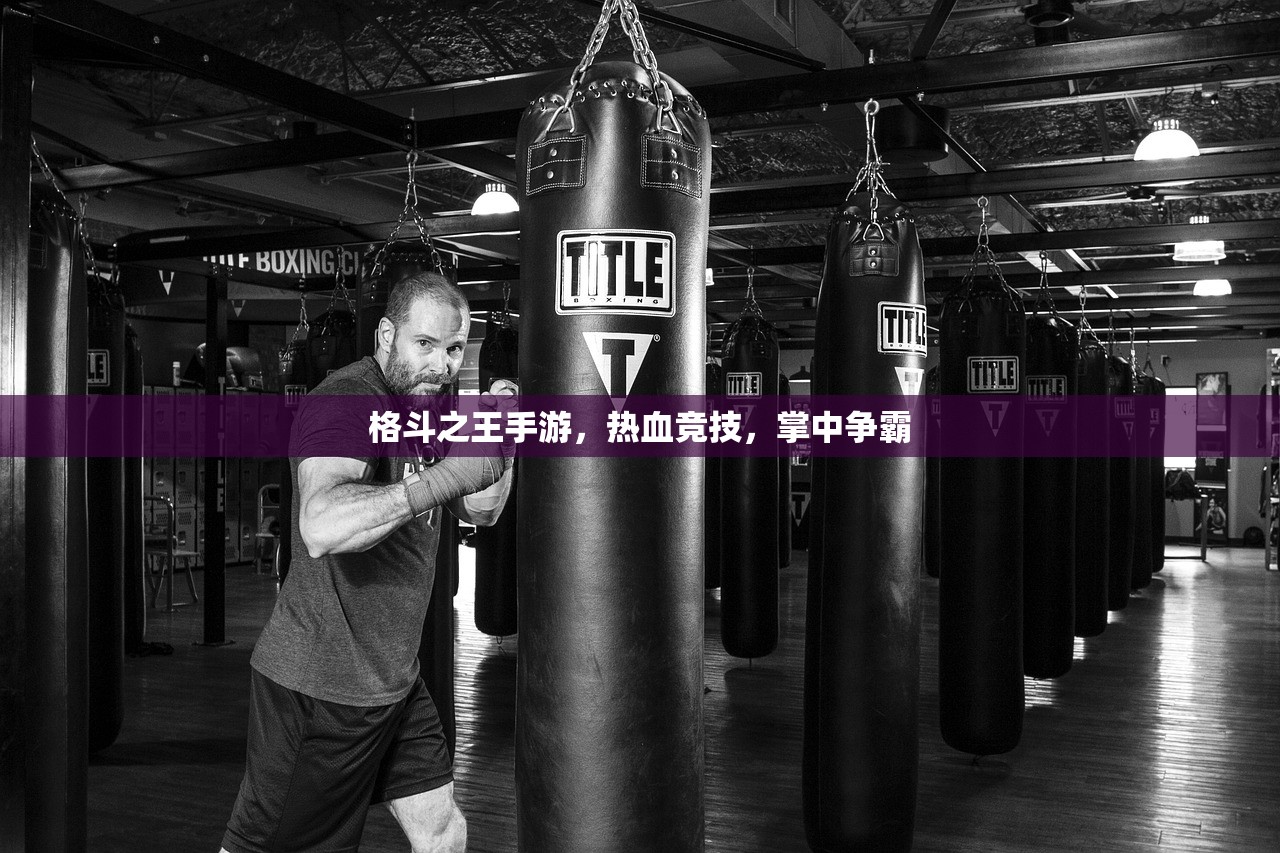 格斗之王手游，热血竞技，掌中争霸