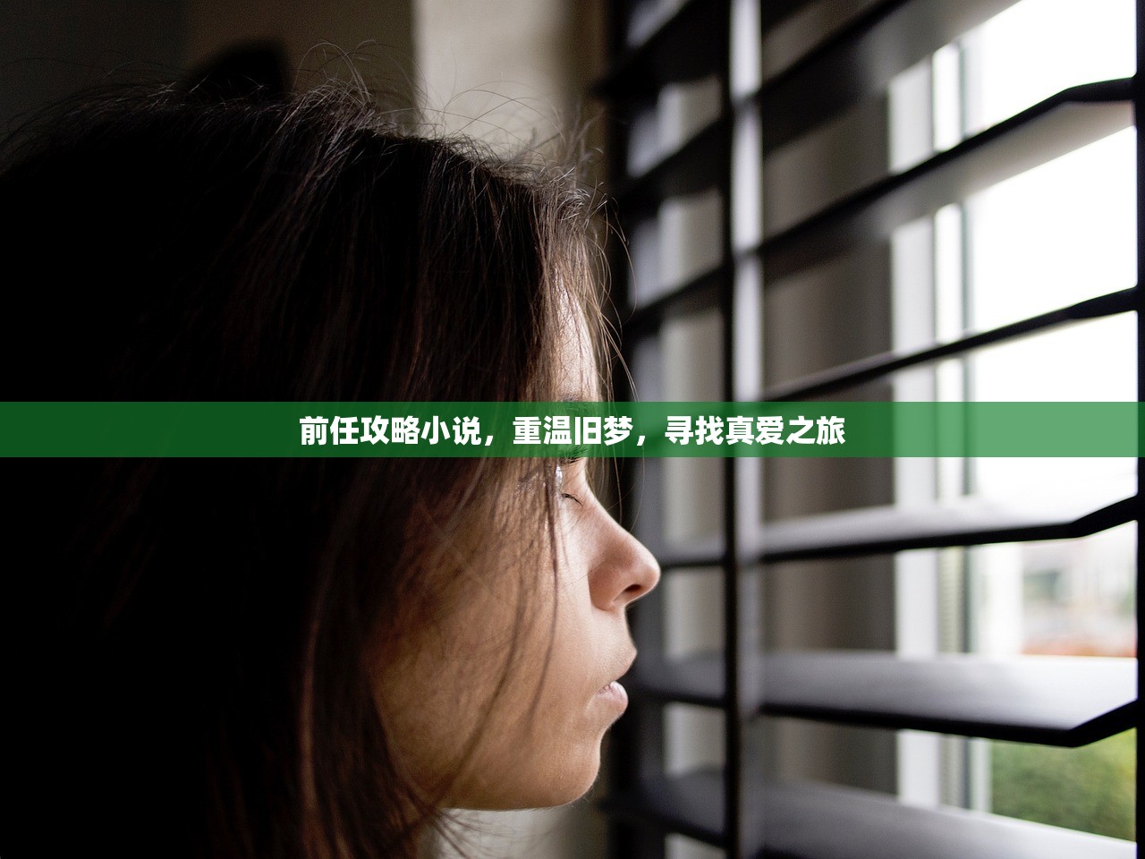 前任攻略小说，重温旧梦，寻找真爱之旅
