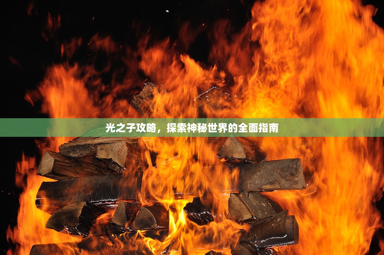 光之子攻略，探索神秘世界的全面指南