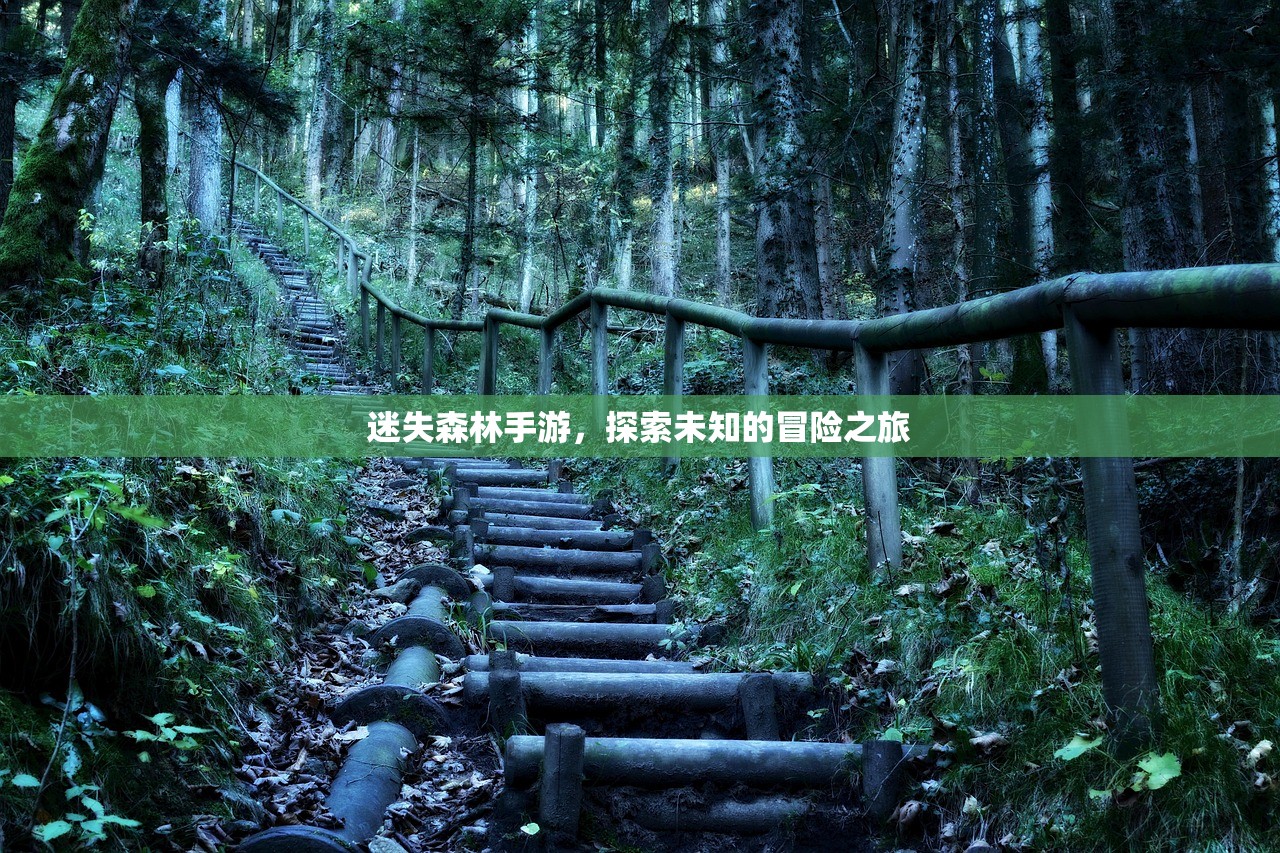 迷失森林手游，探索未知的冒险之旅