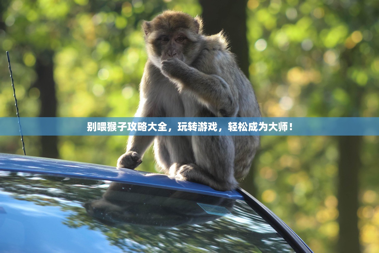别喂猴子攻略大全，玩转游戏，轻松成为大师！