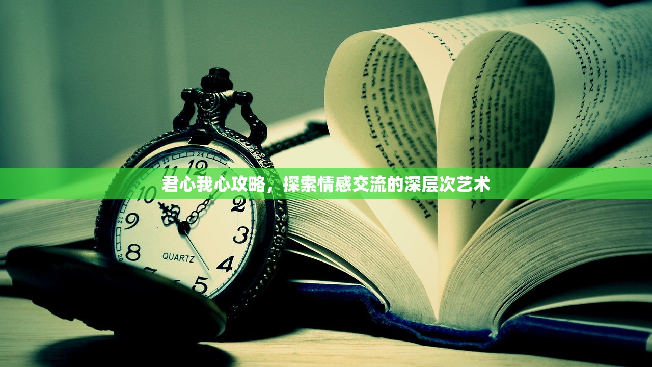 君心我心攻略，探索情感交流的深层次艺术