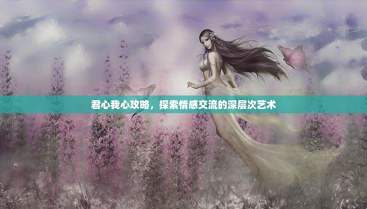 君心我心攻略，探索情感交流的深层次艺术