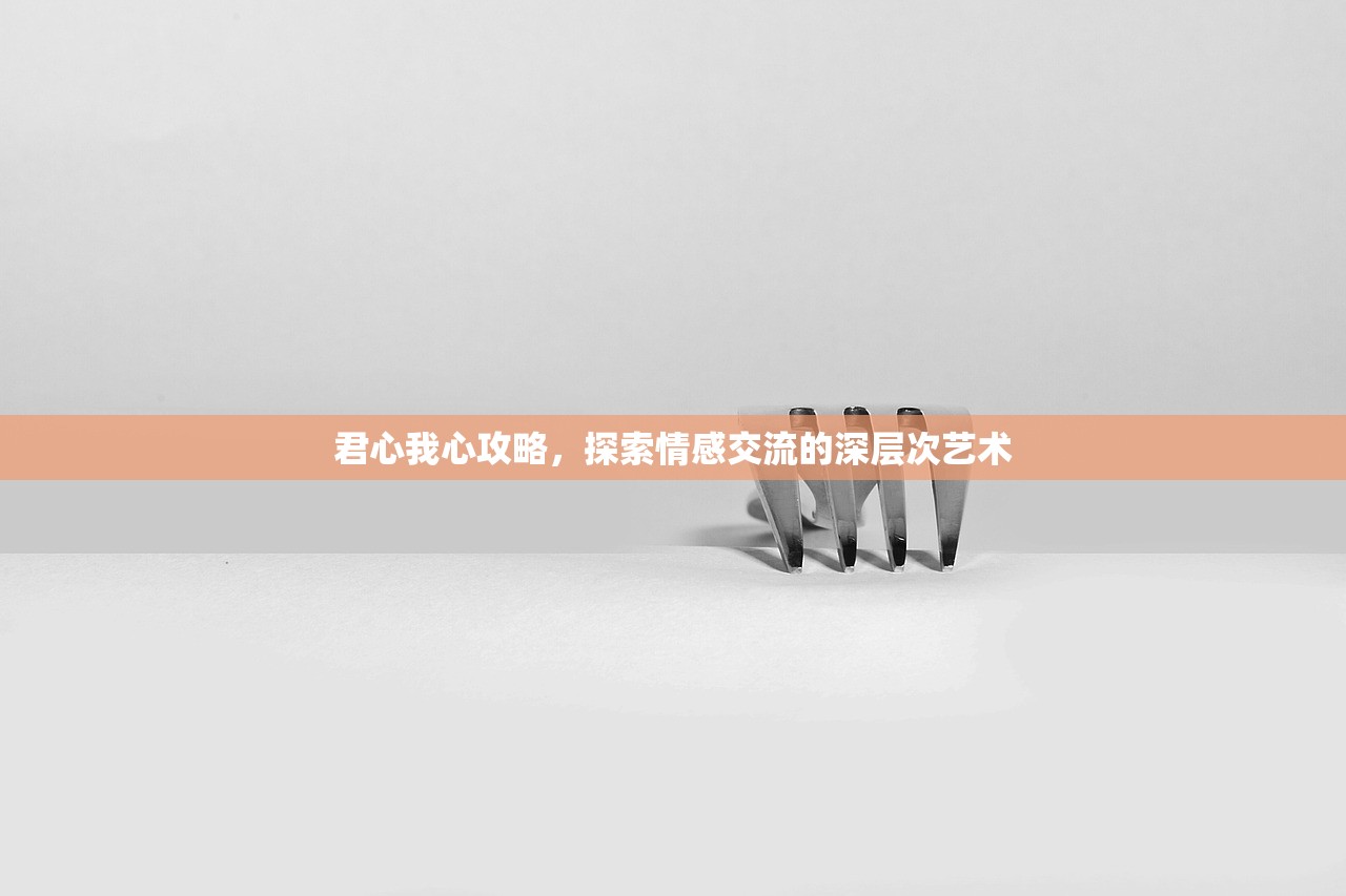 君心我心攻略，探索情感交流的深层次艺术