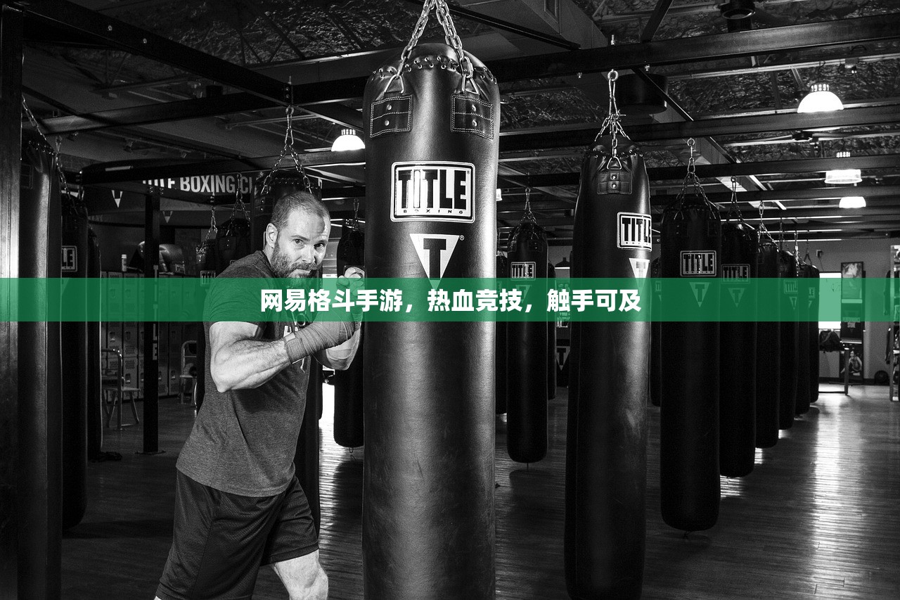 网易格斗手游，热血竞技，触手可及
