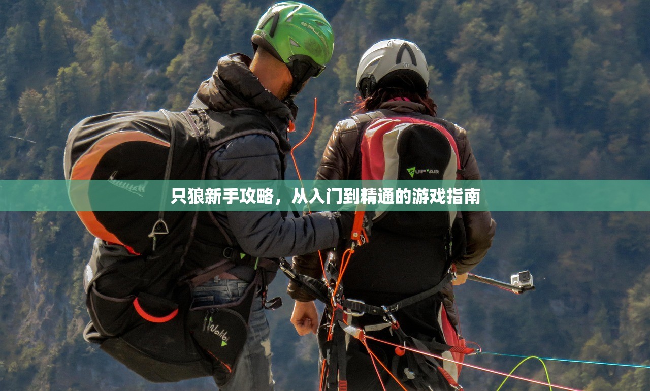 只狼新手攻略，从入门到精通的游戏指南