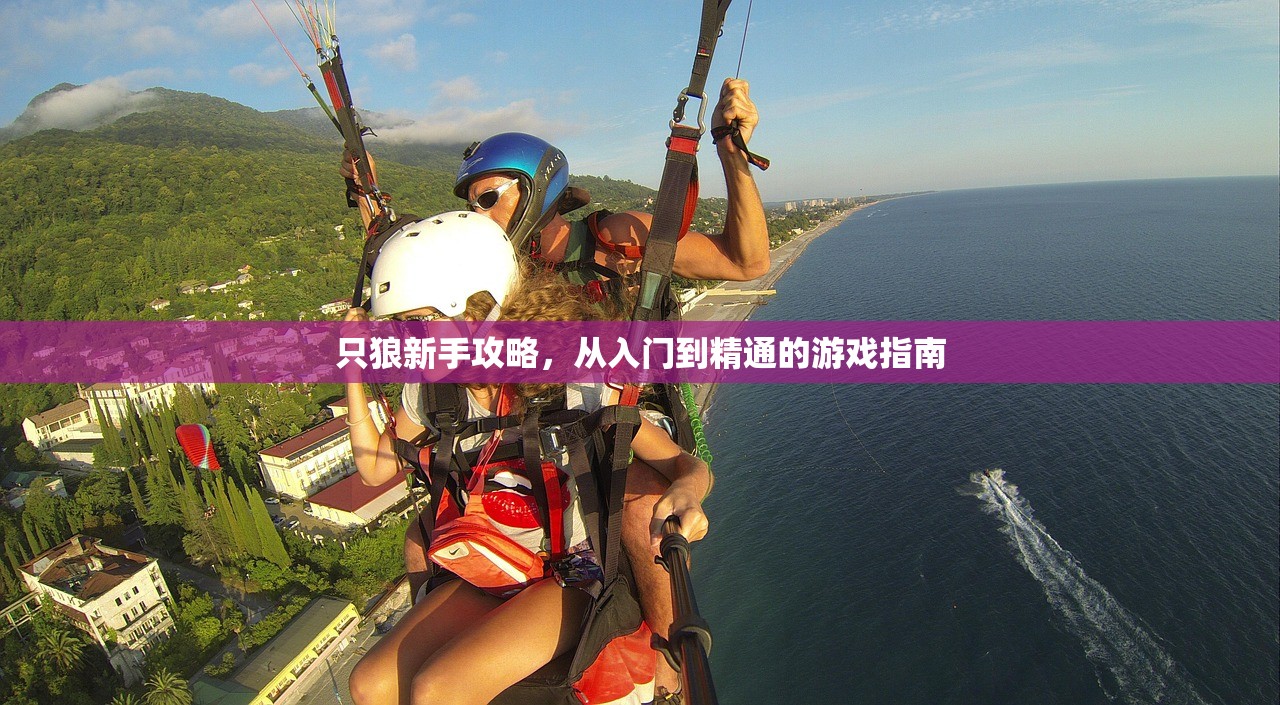 只狼新手攻略，从入门到精通的游戏指南