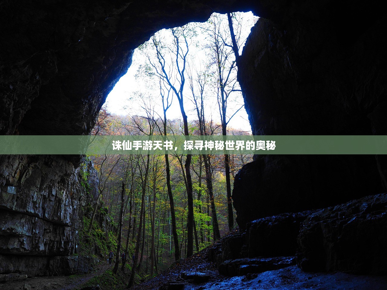 诛仙手游天书，探寻神秘世界的奥秘