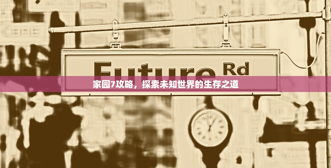 家园7攻略，探索未知世界的生存之道