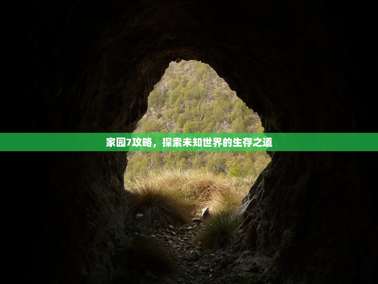 家园7攻略，探索未知世界的生存之道