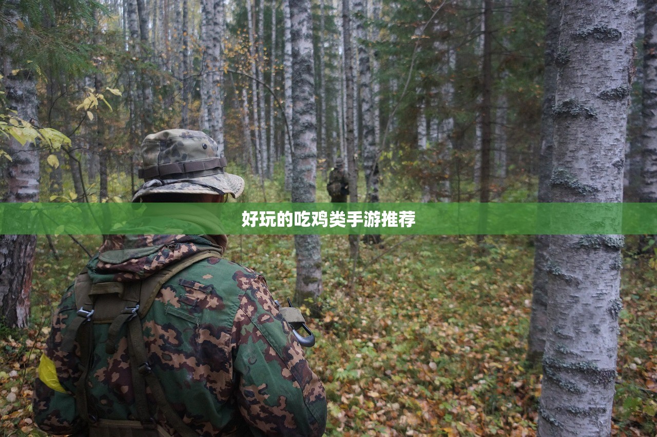 好玩的吃鸡类手游推荐