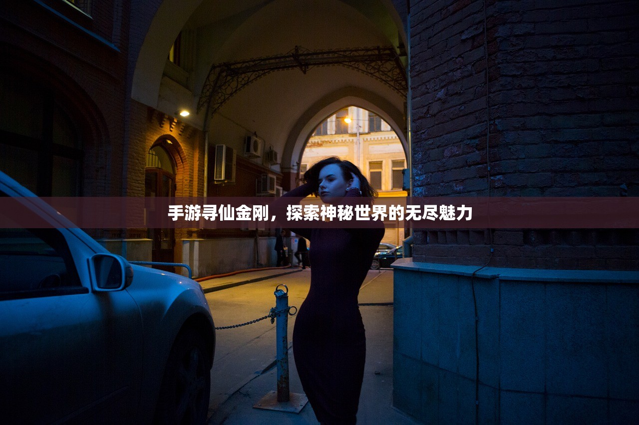 手游寻仙金刚，探索神秘世界的无尽魅力