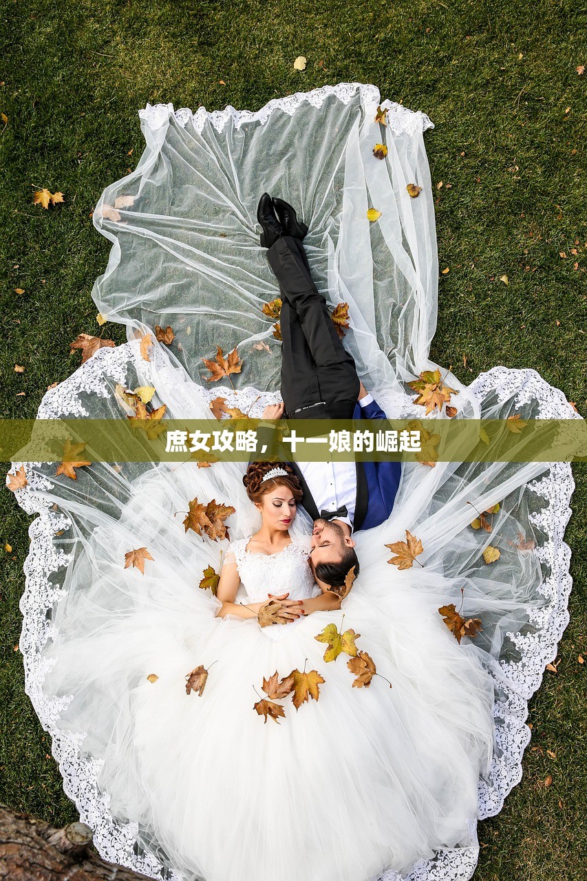 庶女攻略，十一娘的崛起