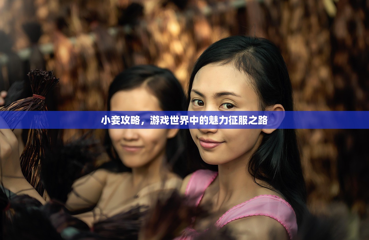小妾攻略，游戏世界中的魅力征服之路