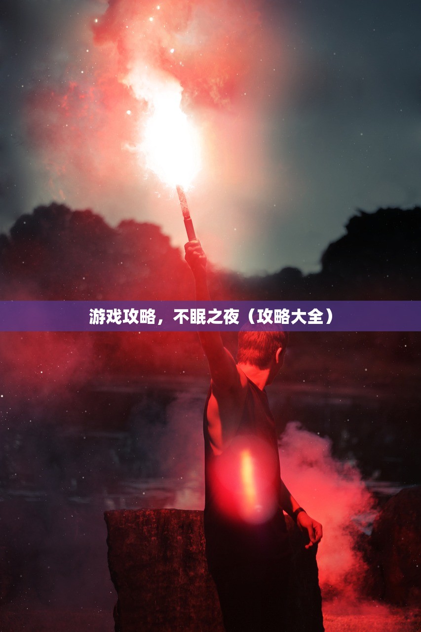 游戏攻略，不眠之夜（攻略大全）