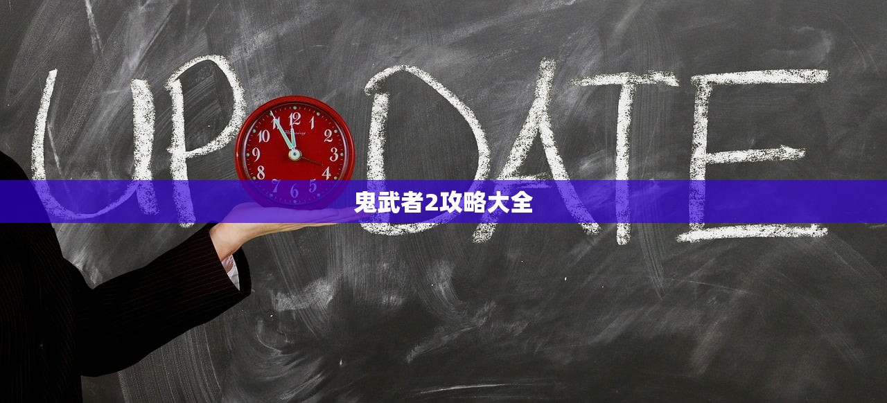 鬼武者2攻略大全