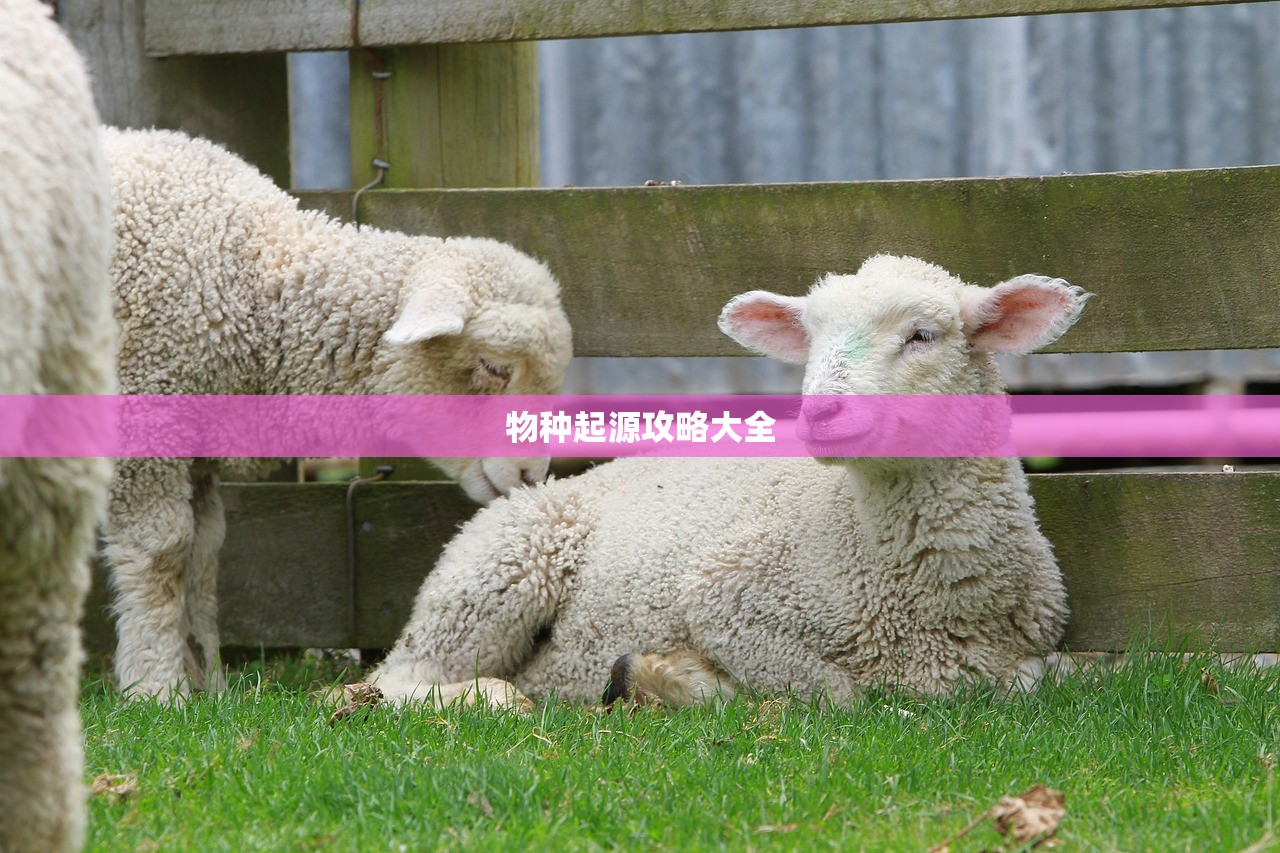 物种起源攻略大全