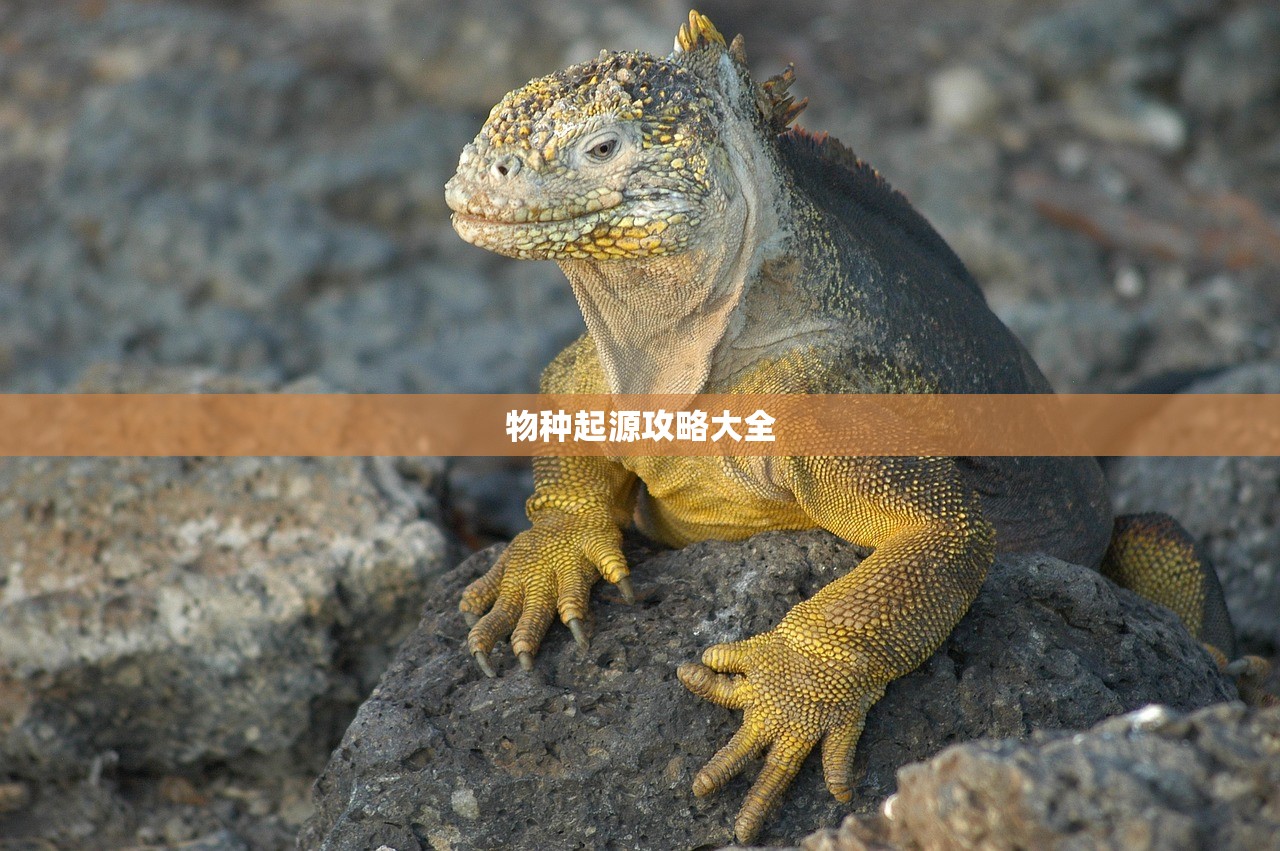 物种起源攻略大全