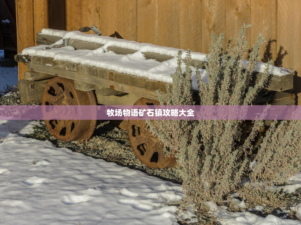 牧场物语矿石镇攻略大全