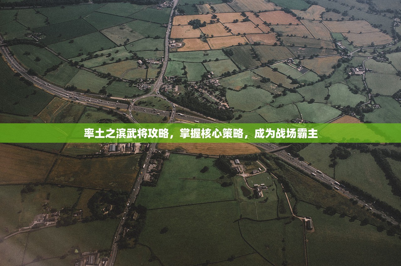 率土之滨武将攻略，掌握核心策略，成为战场霸主