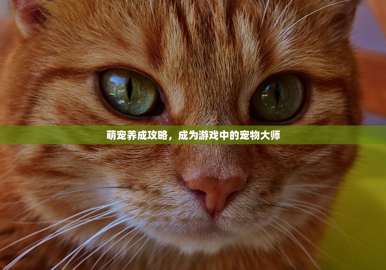 萌宠养成攻略，成为游戏中的宠物大师