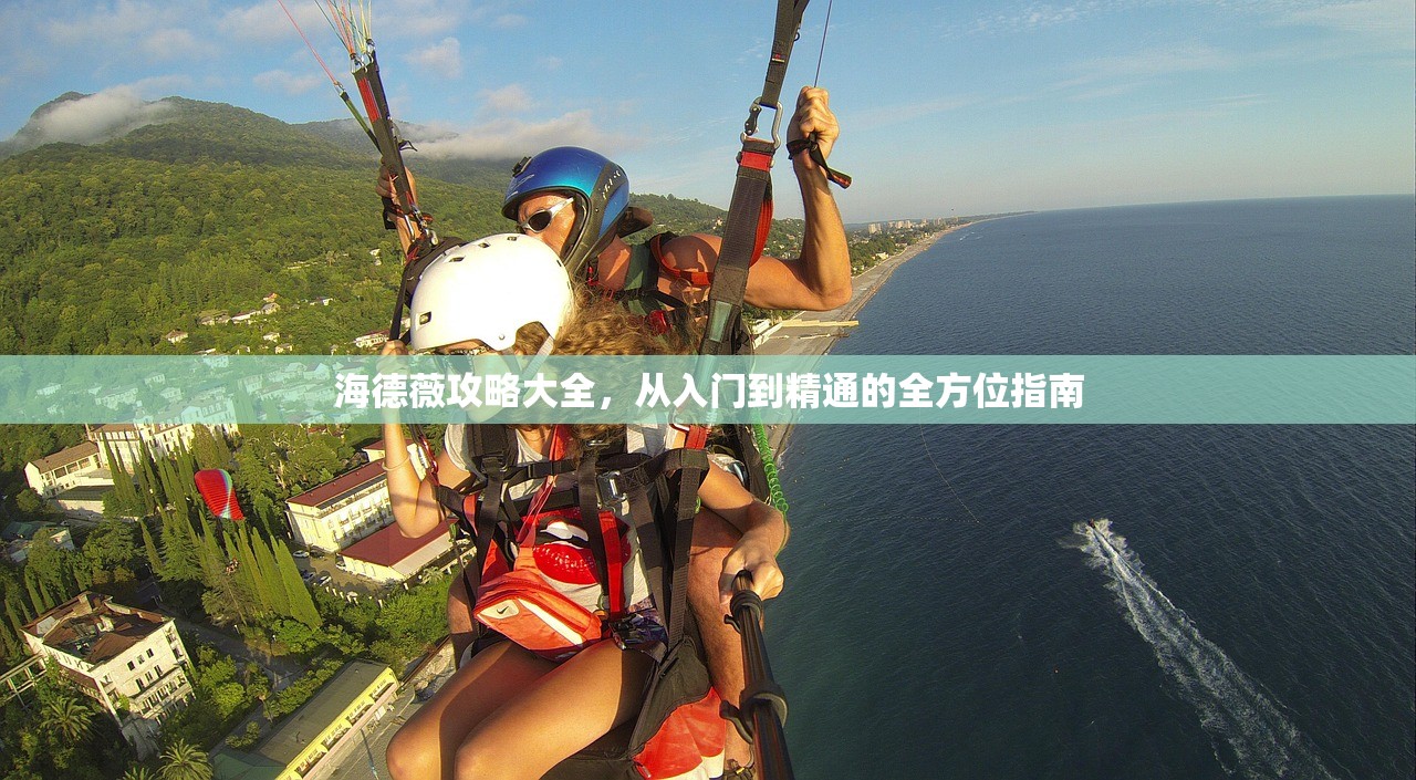 海德薇攻略大全，从入门到精通的全方位指南