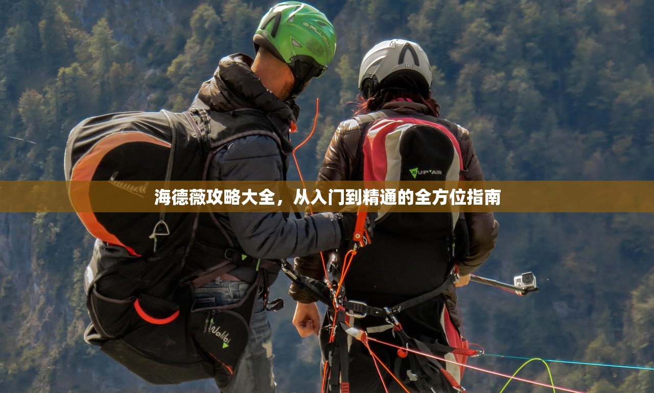 海德薇攻略大全，从入门到精通的全方位指南