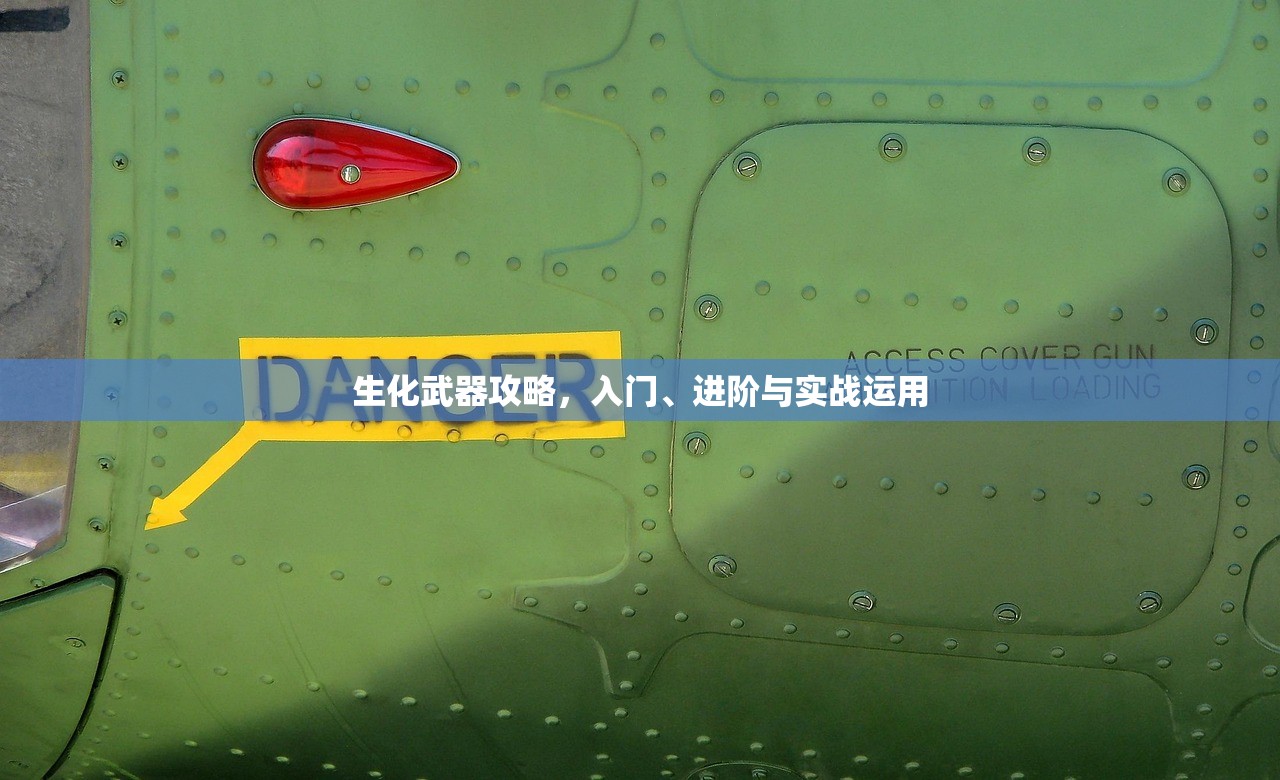 生化武器攻略，入门、进阶与实战运用