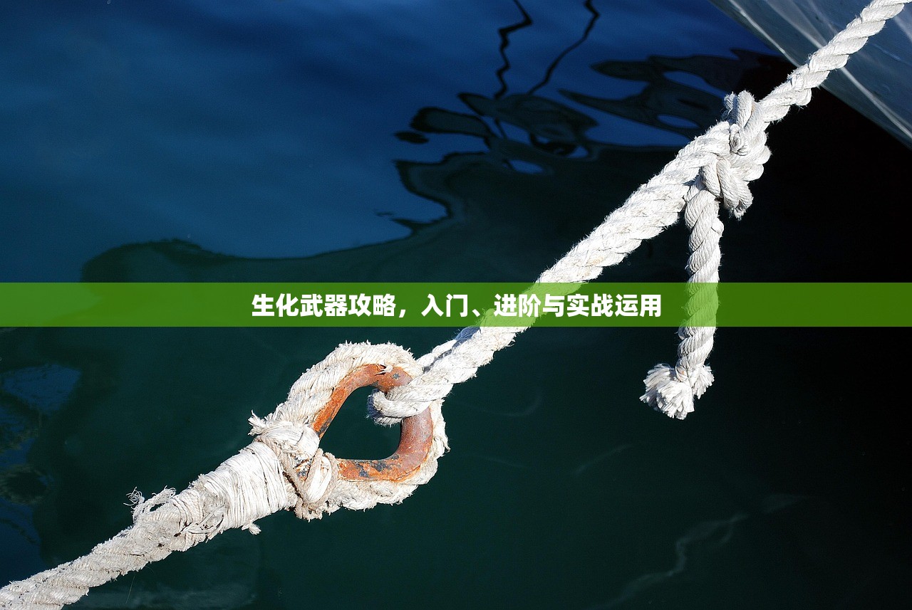 生化武器攻略，入门、进阶与实战运用