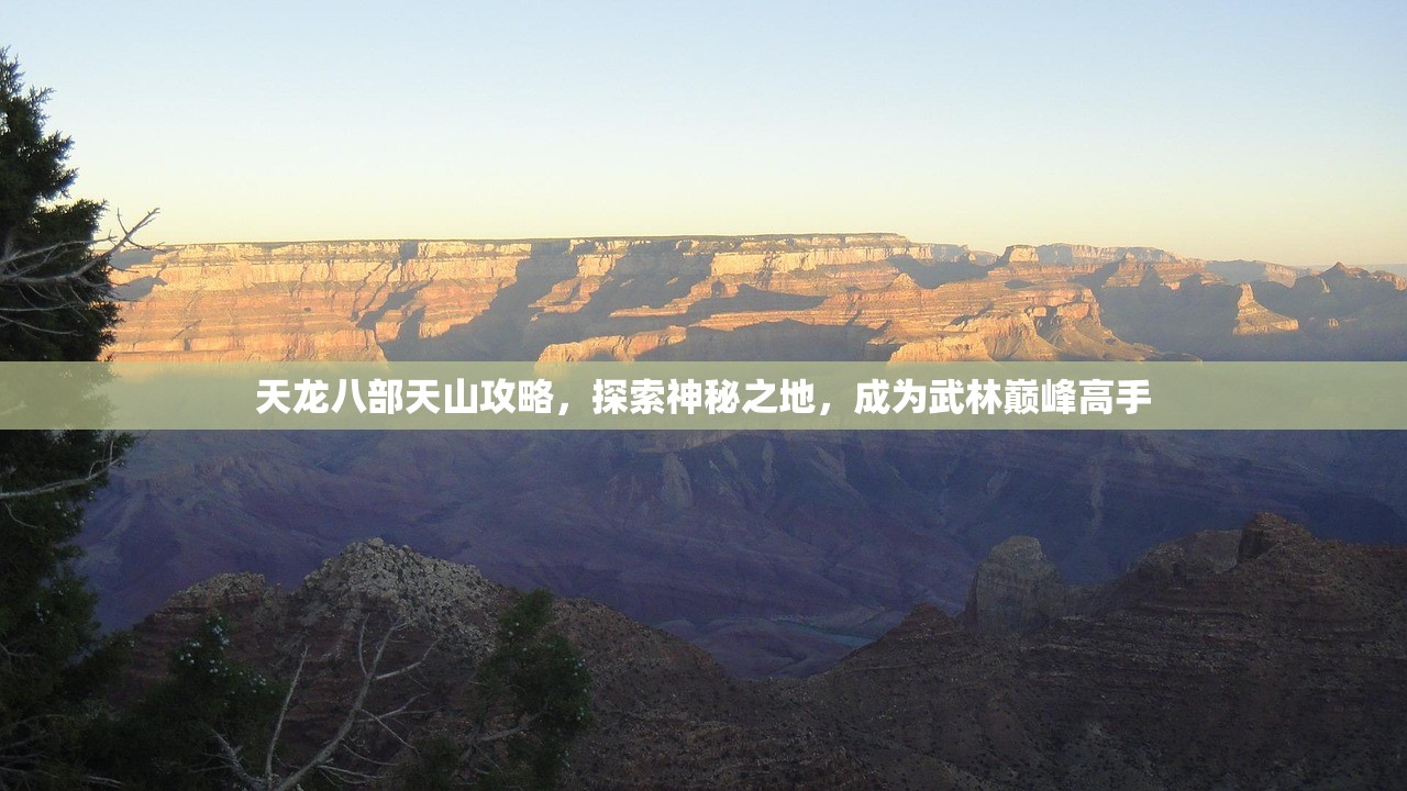 天龙八部天山攻略，探索神秘之地，成为武林巅峰高手