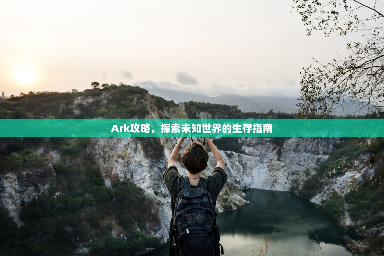 Ark攻略，探索未知世界的生存指南