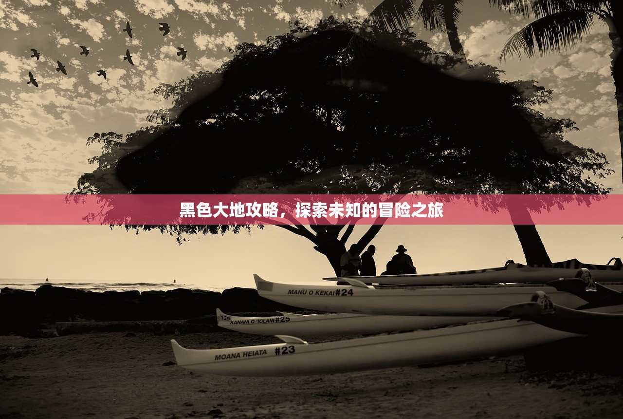 黑色大地攻略，探索未知的冒险之旅